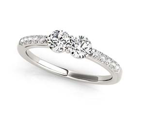 2 Stone Raised Diamond Ring